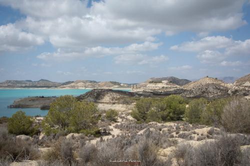 Area Natural La Pedrera - Camping La Pedrera