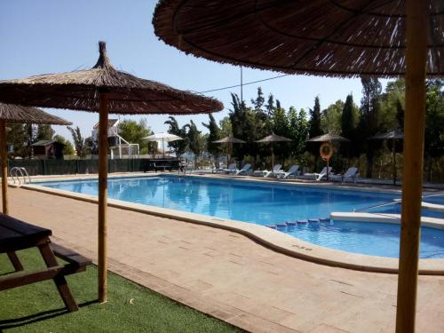 Camping La Pedrera Piscina Swimming Pool