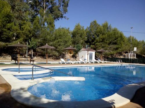 Camping La Pedrera Piscina Swimming Pool