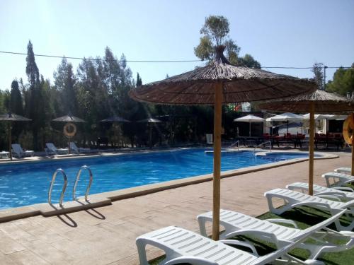 Camping La Pedrera Piscina Swimming Pool