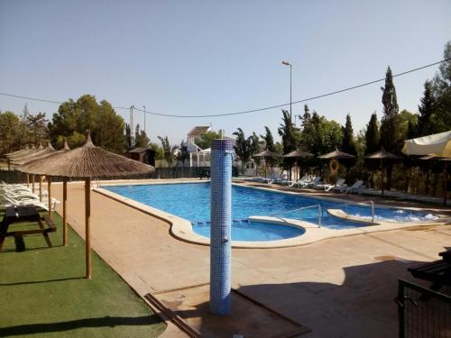 Camping La Pedrera Piscina Swimming Pool